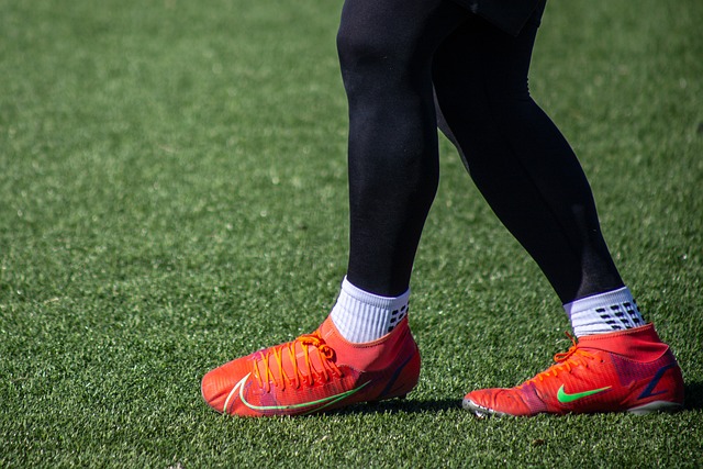 快船队充分 快船队充分