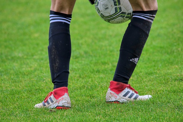 论的话题 论的话题