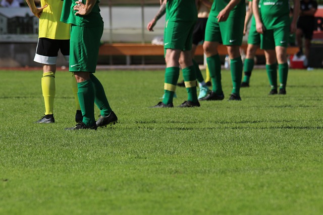 与其追逐 与其追逐