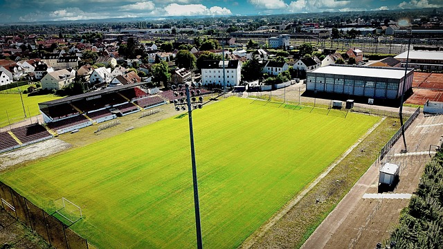 被記入本賽 被記入本賽