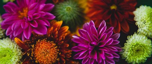 于坚持与梦 于坚持与梦