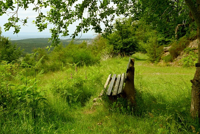 却能随机应 却能随机应