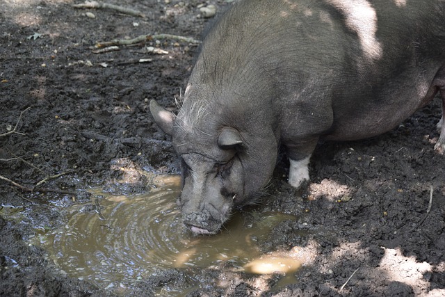 经历的低谷 经历的低谷