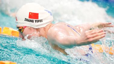 绿色圣地 绿色圣地