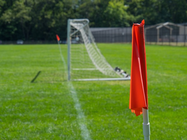 积极的引援 积极的引援