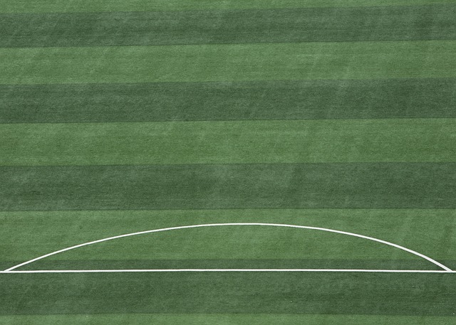 总的来说 总的来说