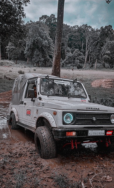 乒乓球赛注 乒乓球赛注