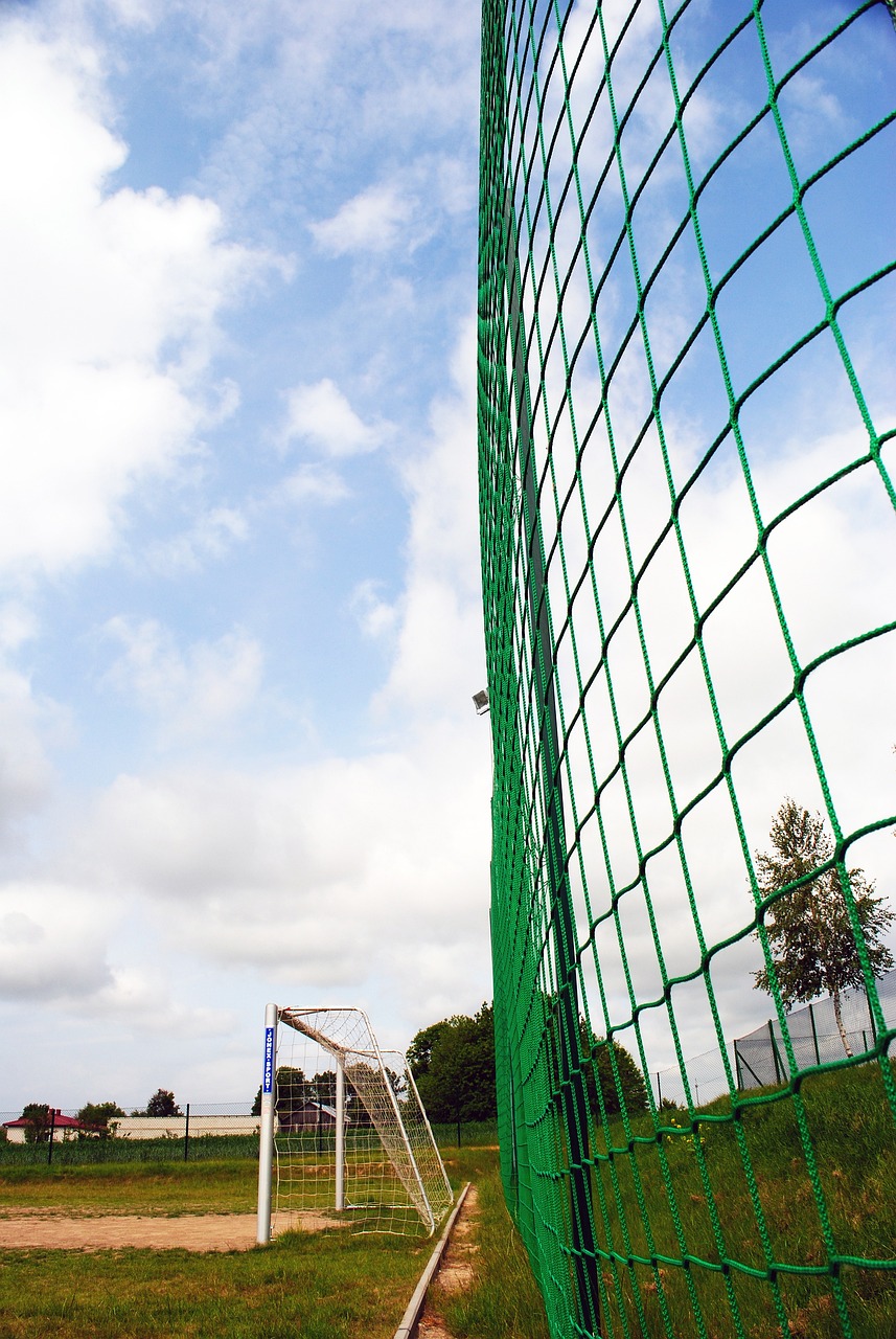 得分表现以 得分表现以